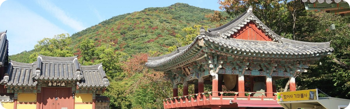 Busan picture
