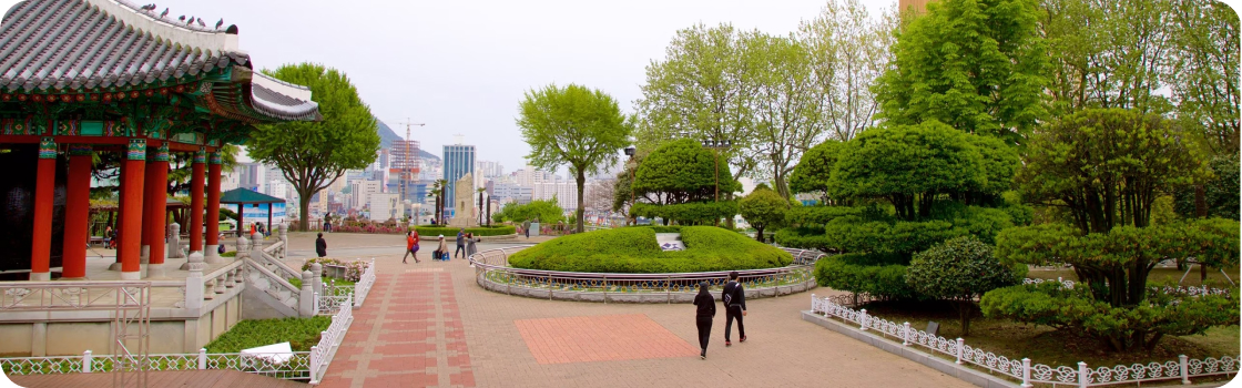 Busan picture
